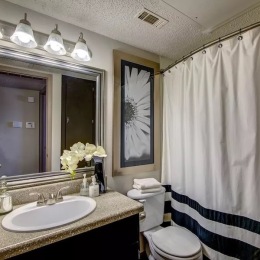 a bathroom with a shower, toilet and a mirror